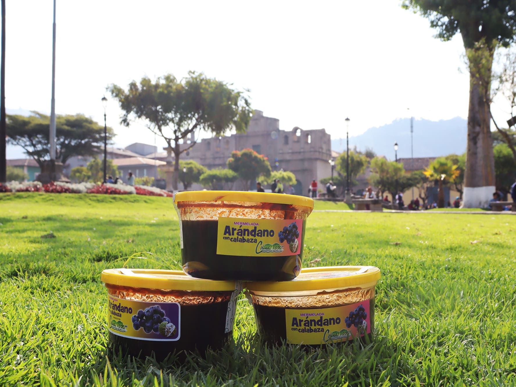 Mermelada de Arándano 450 gramos