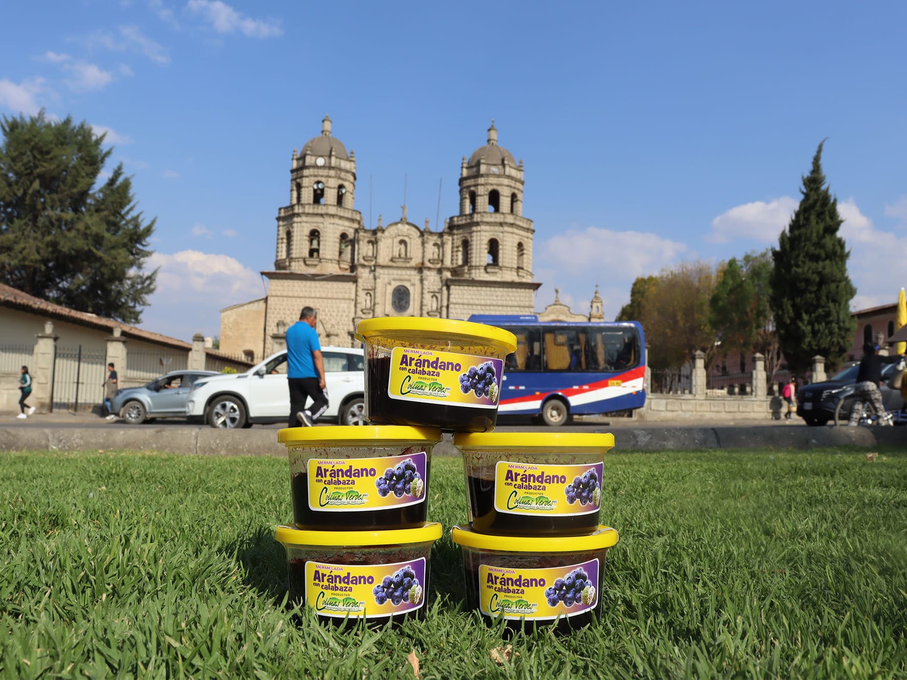 Mermelada de Arándano 250 gramos