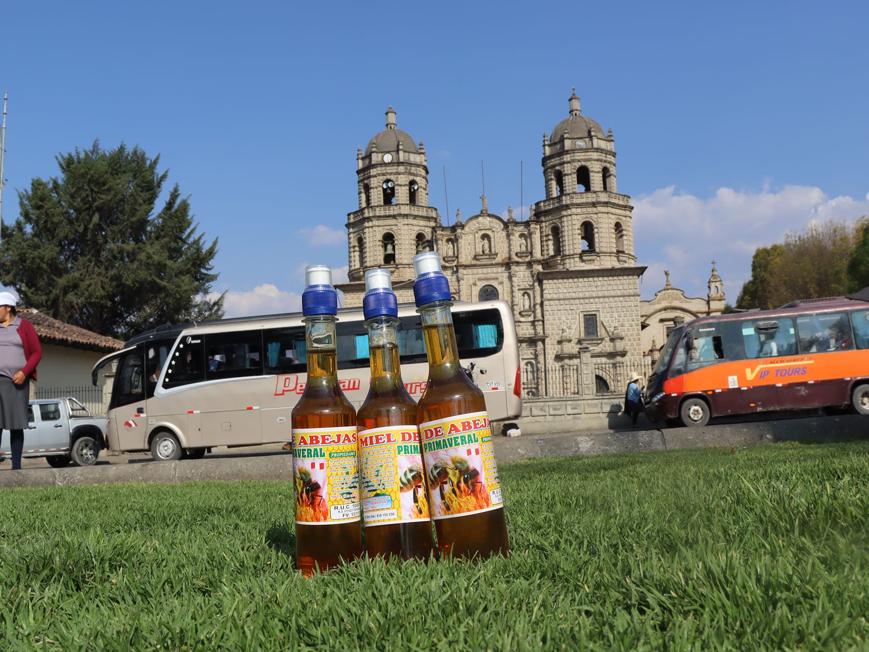 Miel de Abeja en Botella 450 ml