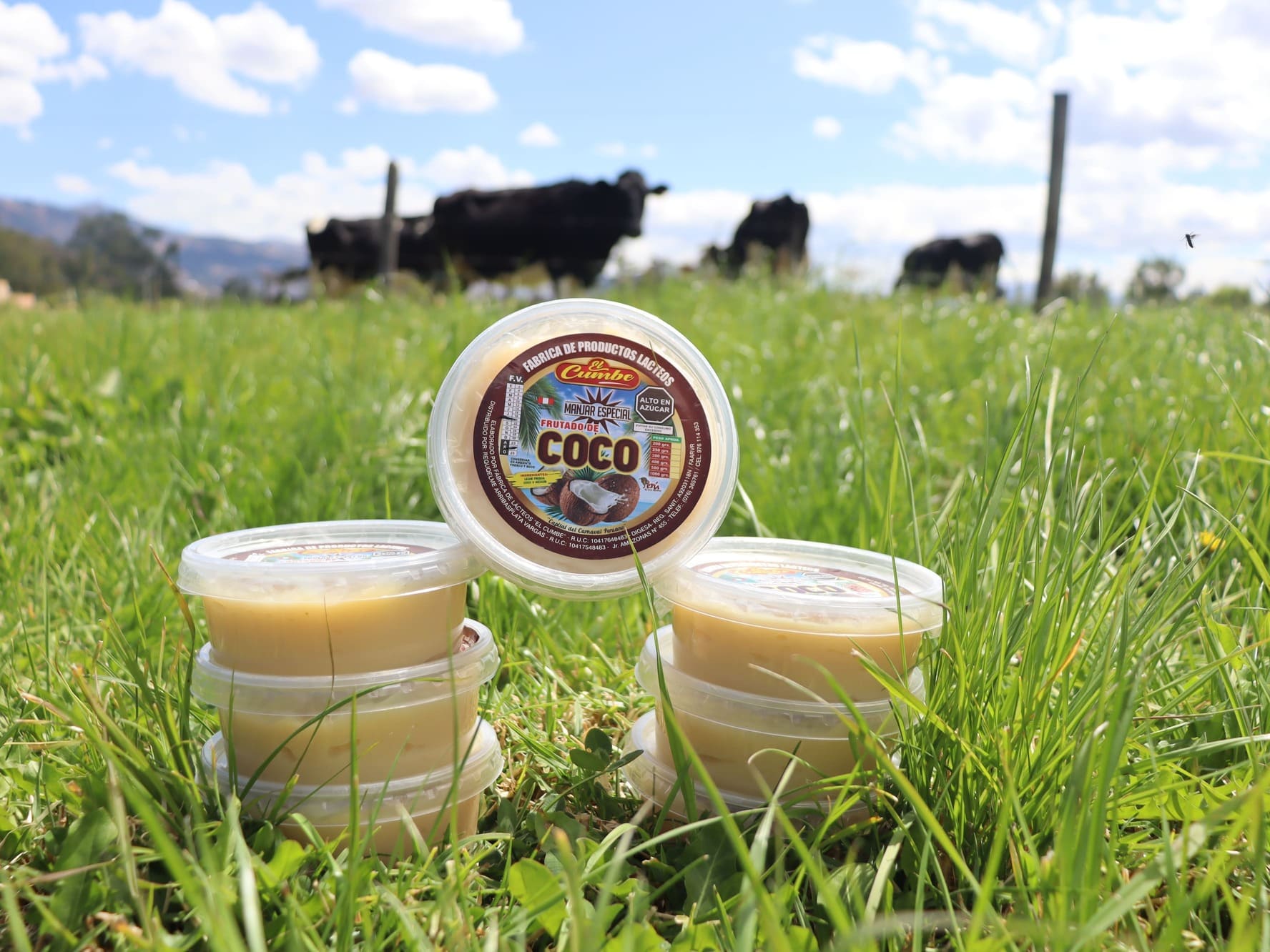 manjar blanco coco 250 gramos