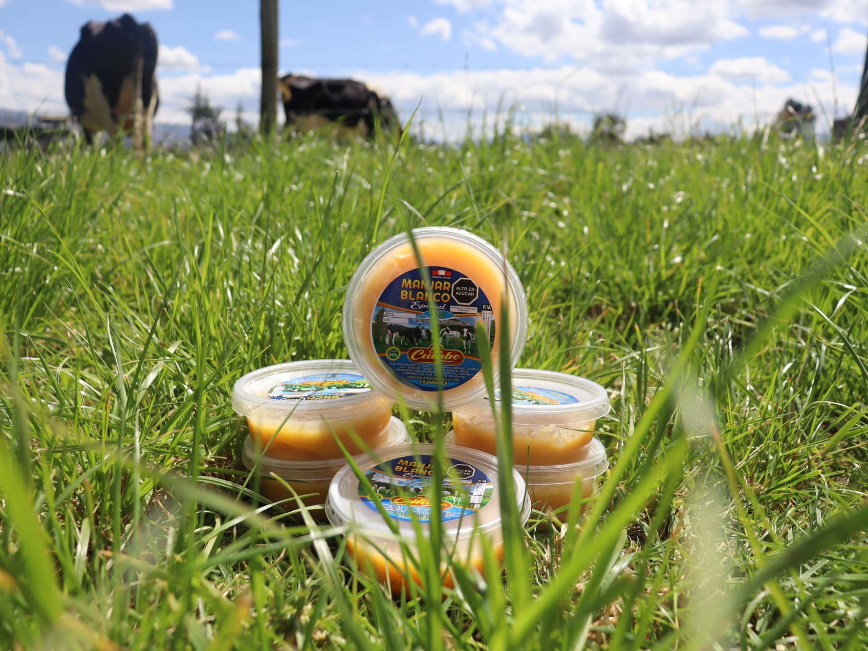 manjar blanco natural 250 gramos