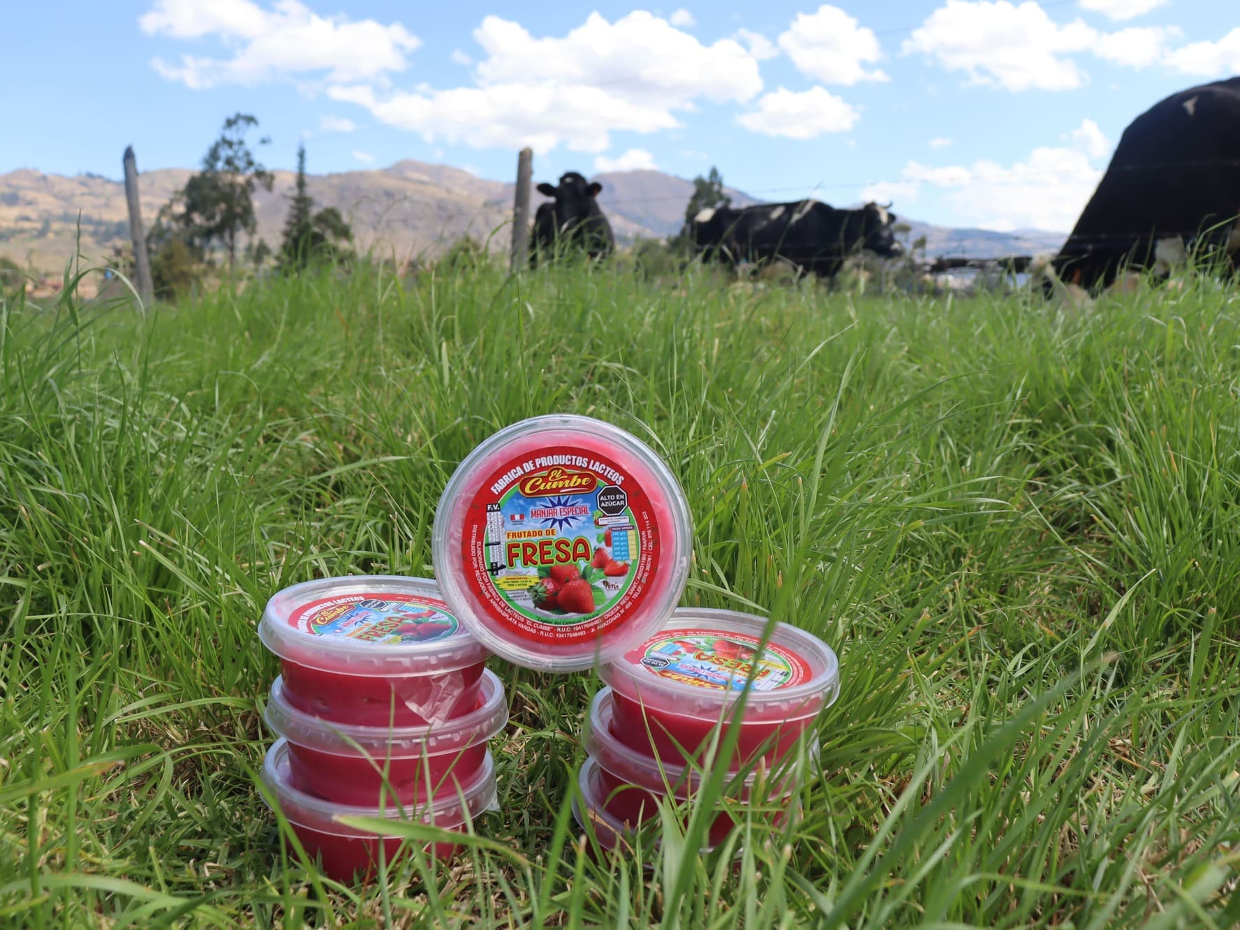 manjar fresa 250 gramos