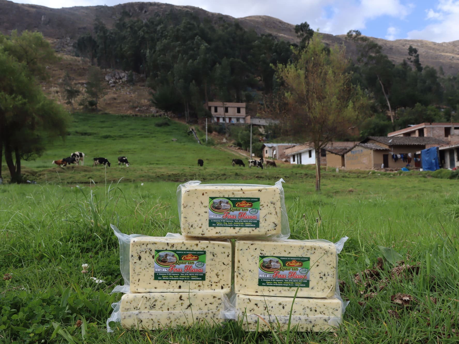 Queso Finas Hierbas kilo