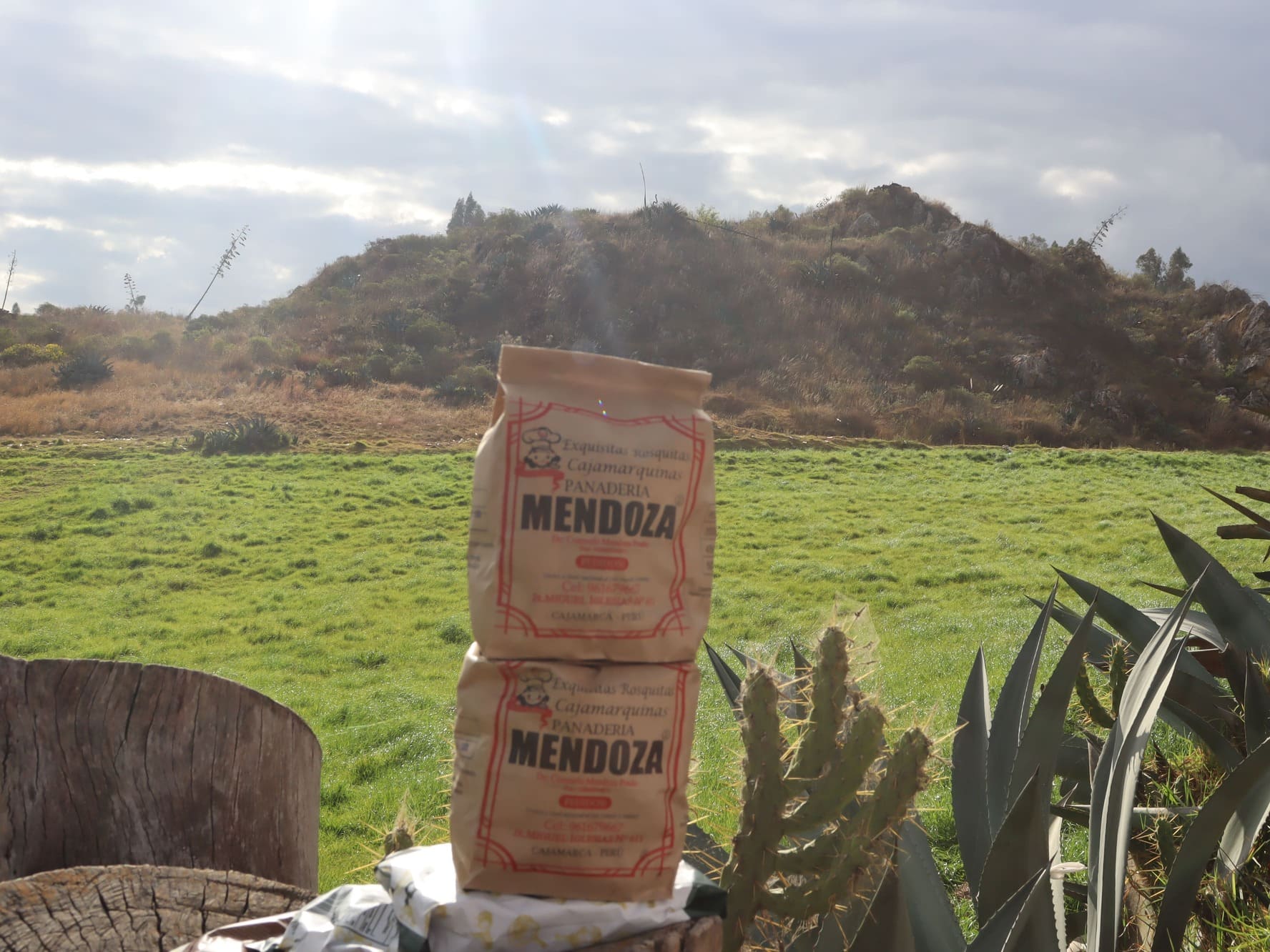 Roscas Mendoza 500 gramos